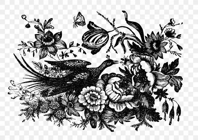 Stencil Floral Design Flower Art, PNG, 1538x1087px, Stencil, Art, Artist, Black And White, Branch Download Free
