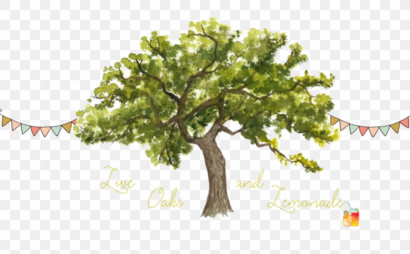 Tree Trunk Watercolor Painting Northern Red Oak Clip Art, PNG, 1200x744px, Tree, After You, Art, Botany, Branch Download Free