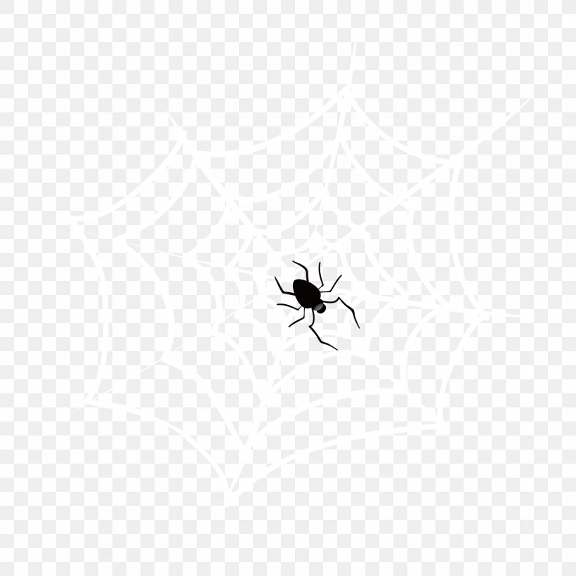 White Spider Web, PNG, 1500x1500px, Spider, Arthropod, Black, Black And White, Insect Download Free