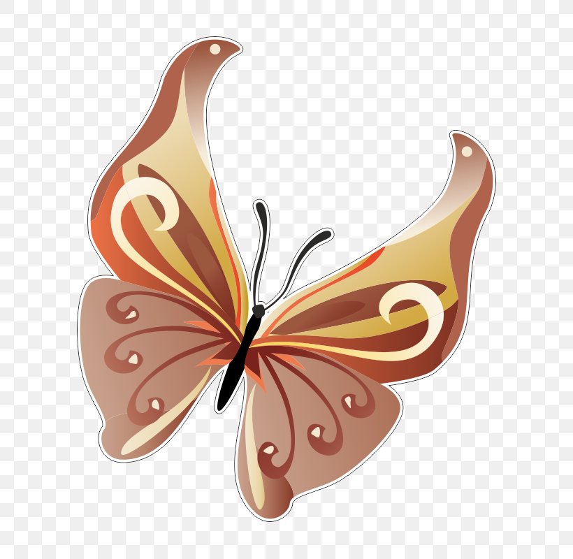 Butterfly Insect, PNG, 800x800px, Butterfly, Art, Brush Footed Butterfly, Butterflies And Moths, Insect Download Free