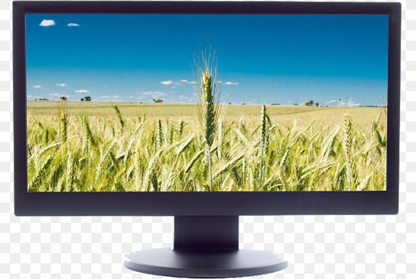 Computer Monitor LCD Television Liquid-crystal Display, PNG, 1205x811px, Computer Monitor, Color Television, Display Device, Energy, Flat Panel Display Download Free