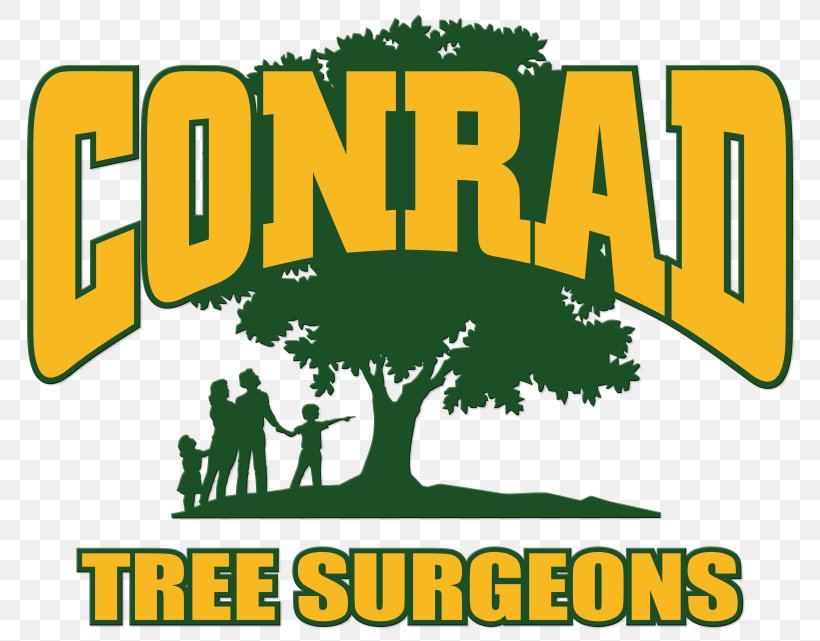 Conrad Tree Services Certified Arborist Logo, PNG, 800x641px, Tree, Arborist, Area, Artwork, Brand Download Free