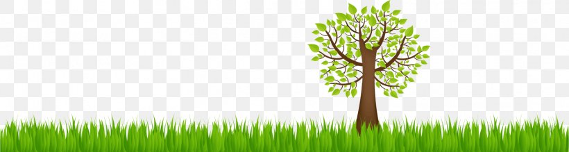 Earth Natural Environment Ecology, PNG, 1562x418px, Earth, Ecology, Energy, Environment, Environmental Protection Download Free
