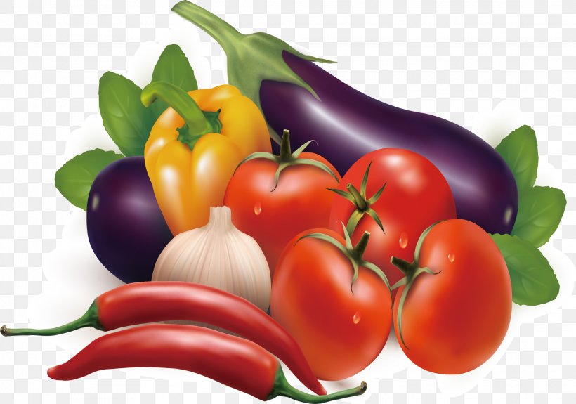 Vegetable Fruit Carrot Illustration, PNG, 2234x1567px, Vegetable, Bell Pepper, Bell Peppers And Chili Peppers, Bush Tomato, Carrot Download Free