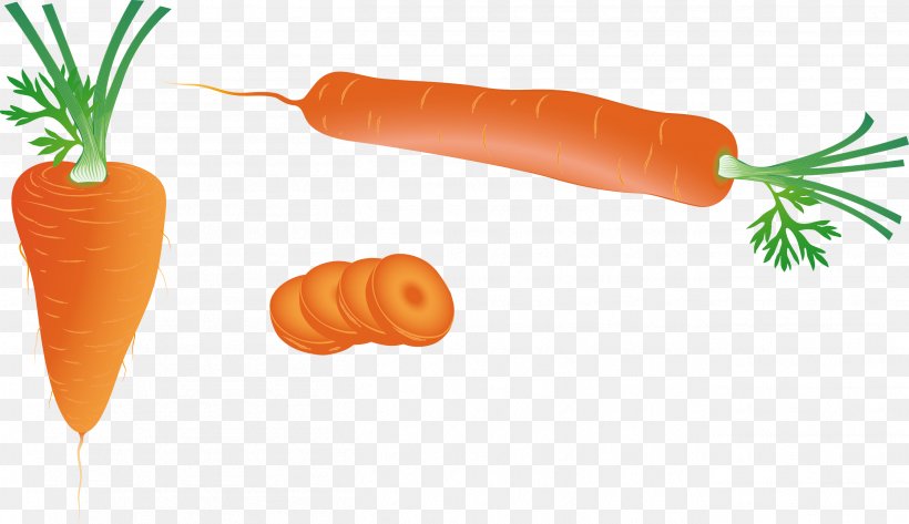 Carrot Download Vegetable, PNG, 2608x1507px, Carrot, Baby Carrot, Diet Food, Food, Fruit Download Free