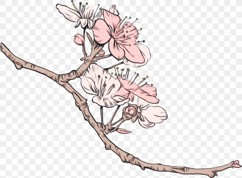 Cherry Blossom Cherries Clip Art Illustration, PNG, 1024x758px, Cherry Blossom, Blossom, Botany, Branch, Cherries Download Free
