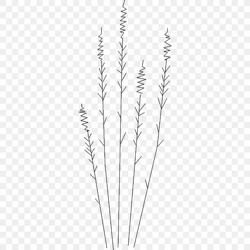 Grasses Line Art Commodity Plant Stem, PNG, 1000x1000px, Grasses, Black And White, Branch, Commodity, Flowering Plant Download Free