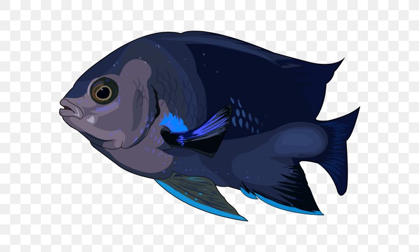 Marine Biology Marine Mammal Fin Cobalt Blue, PNG, 700x494px, Marine Biology, Biology, Blue, Bonyfish, Cobalt Download Free