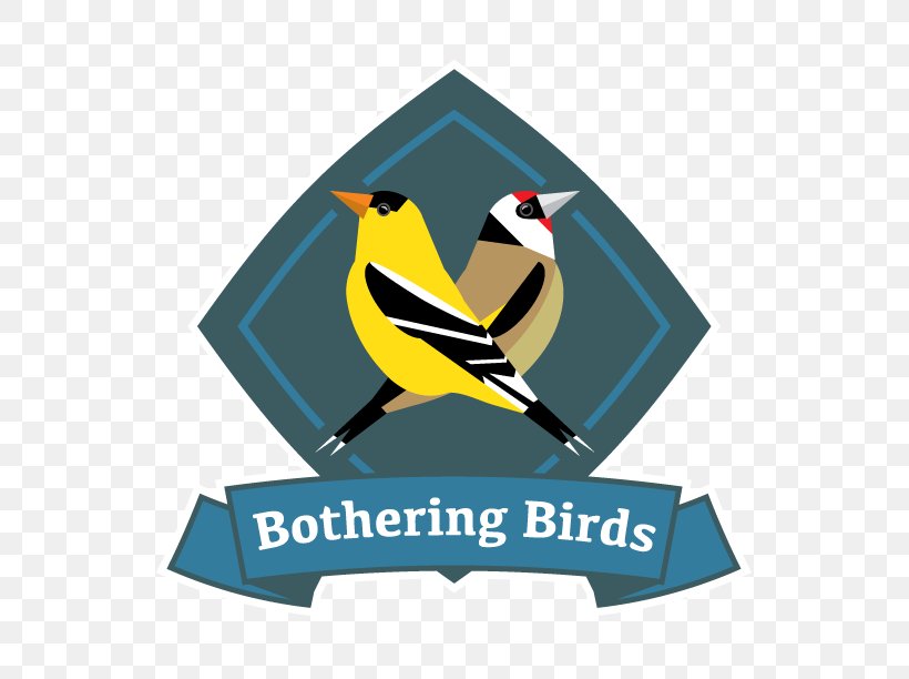 Bird Nest Birdwatching Rose-throated Becard Beak, PNG, 792x612px, Bird, Beak, Bird Nest, Birdwatching, Black Skimmer Download Free