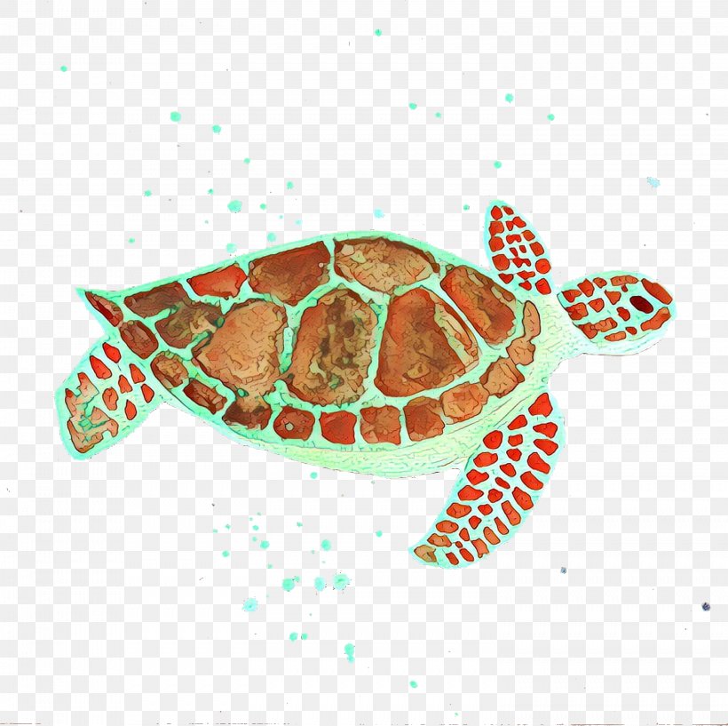 Sea Turtle Background, PNG, 2993x2984px, Cartoon, Animal, Biology, Caretta, Green Sea Turtle Download Free