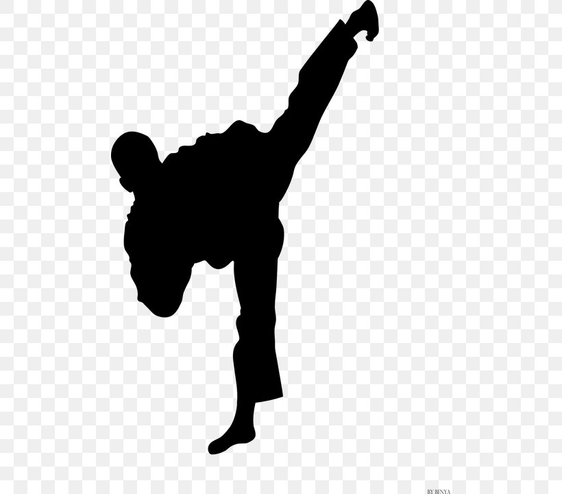 Taekwondo Karate Martial Arts Kick Moo Duk Kwan, PNG, 495x720px, Taekwondo, Arm, Ata Martial Arts, Black And White, Contact Sport Download Free