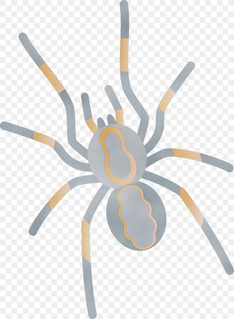 Biology Science, PNG, 2197x3000px, Cartoon Spider, Biology, Paint, Science, Watercolor Download Free