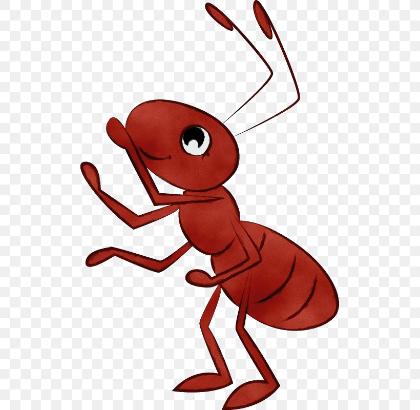 Insects Decapods Cartoon Pest Red, PNG, 505x800px, Watercolor, Cartoon, Decapods, Insects, Joint Download Free