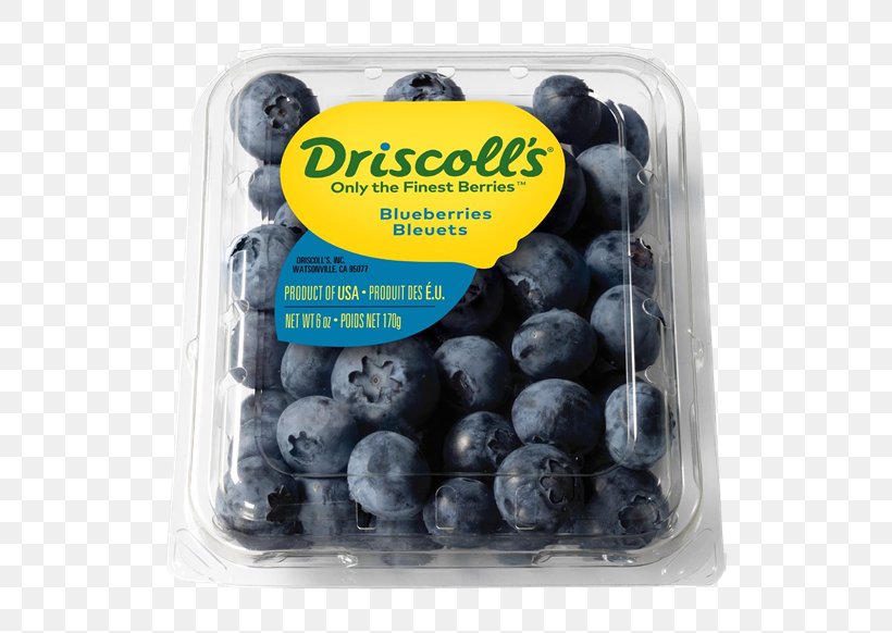 Lowbush Blueberry Driscoll's Bilberry Fruit, PNG, 600x582px, Blueberry, Amora, Berry, Bilberry, Food Download Free