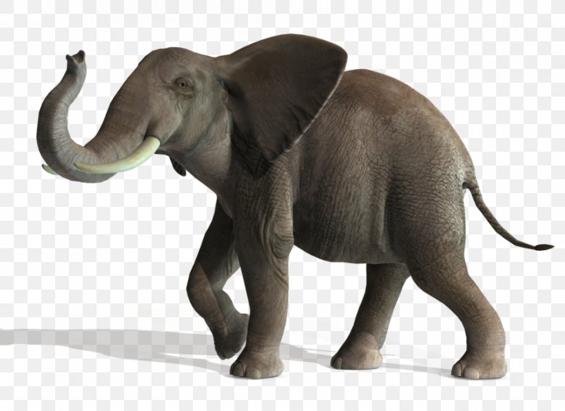 Asian Elephant Lion Art, PNG, 900x655px, Elephant, African Elephant, Animal, Art, Asian Elephant Download Free