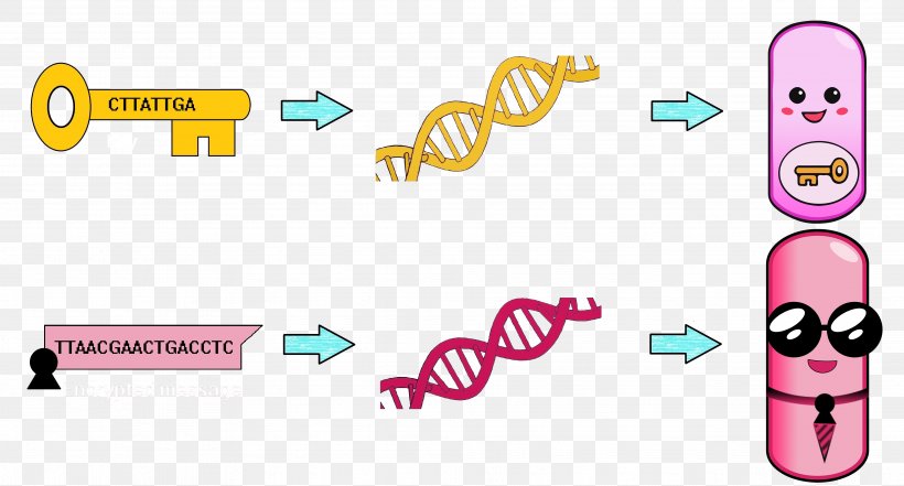 Bacterial Genome Hay Bacillus Plasmid, PNG, 3956x2128px, Bacteria, Area, Bacillus, Bacterial Genome, Brand Download Free