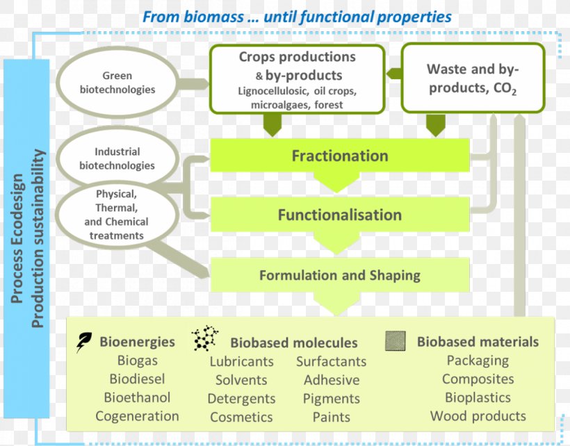 Biomass Biorefinery Biotechnology Bioenergy Bioproducts, PNG, 1200x940px, Biomass, Area, Biodiesel, Bioenergy, Bioplastic Download Free