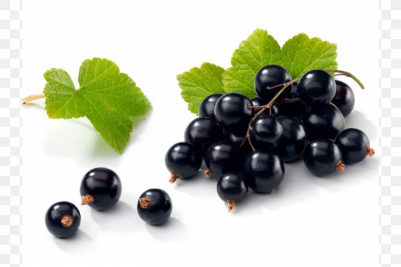 Blackcurrant Seed Oil Health Juice Fruit, PNG, 1200x800px, Blackcurrant, Berry, Bilberry, Blackberry, Blackcurrant Seed Oil Download Free