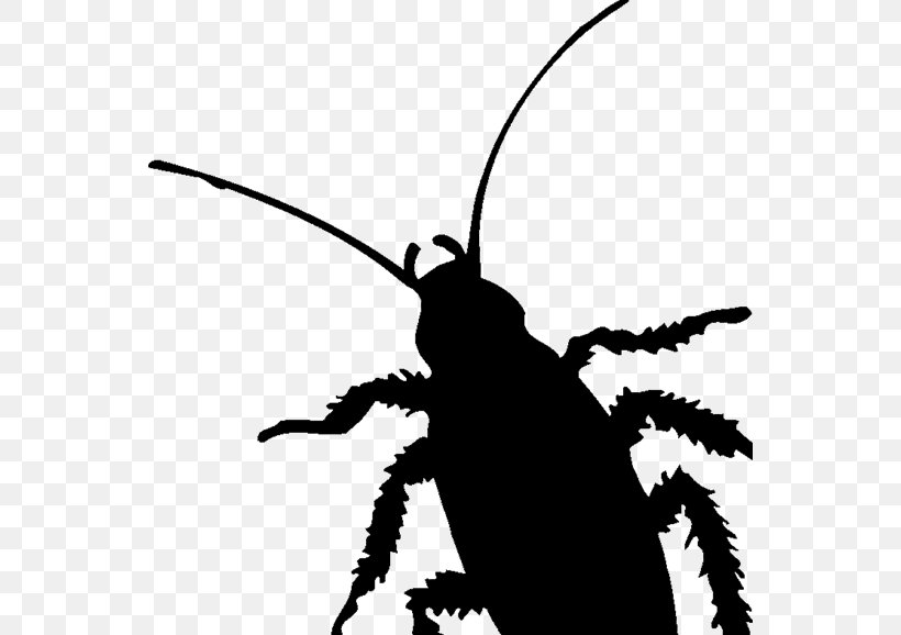 Cockroach Insect Pest Silhouette Clip Art, PNG, 550x578px, Cockroach, Artwork, Black And White, Diagram, Insect Download Free