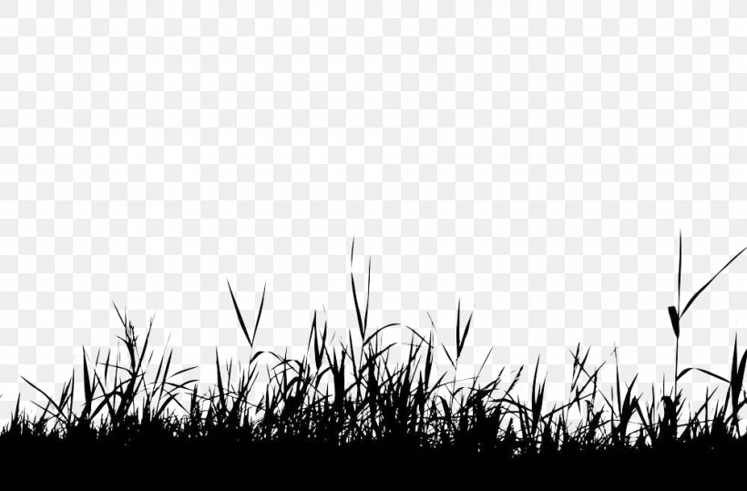 Silhouette Royalty-free Photography Clip Art, PNG, 1000x658px, Silhouette, Black, Black And White, Drawing, Grass Download Free