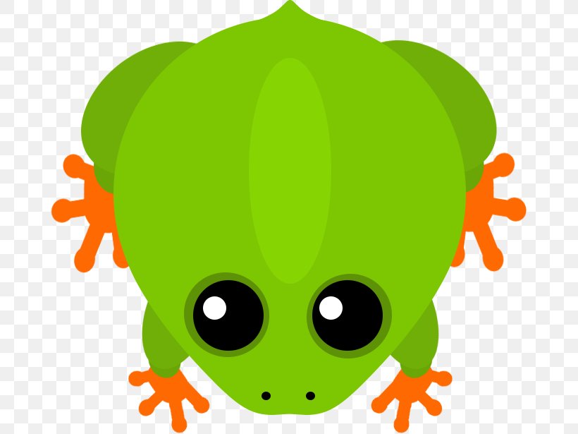 Tree Frog True Frog Frog Design Inc. Animal, PNG, 676x615px, Tree Frog, Amphibian, Animal, Cartoon, Cheetah Download Free