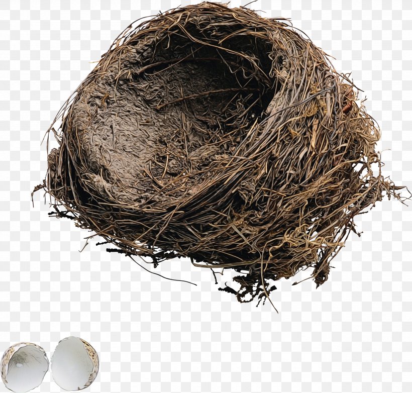 Egg, PNG, 2565x2448px, Watercolor, Bird Nest, Egg, Nest, Paint Download Free