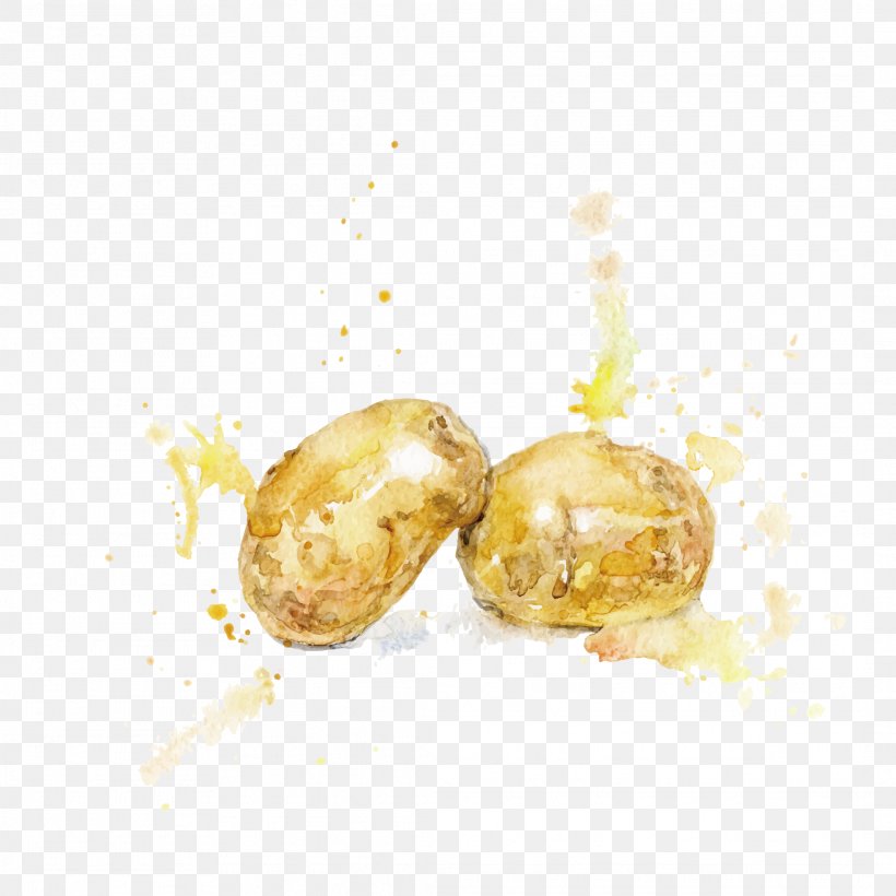 Watercolor Painting Potato Illustration, PNG, 2126x2126px, Watercolor Painting, Auglis, Drawing, Food, Potato Download Free
