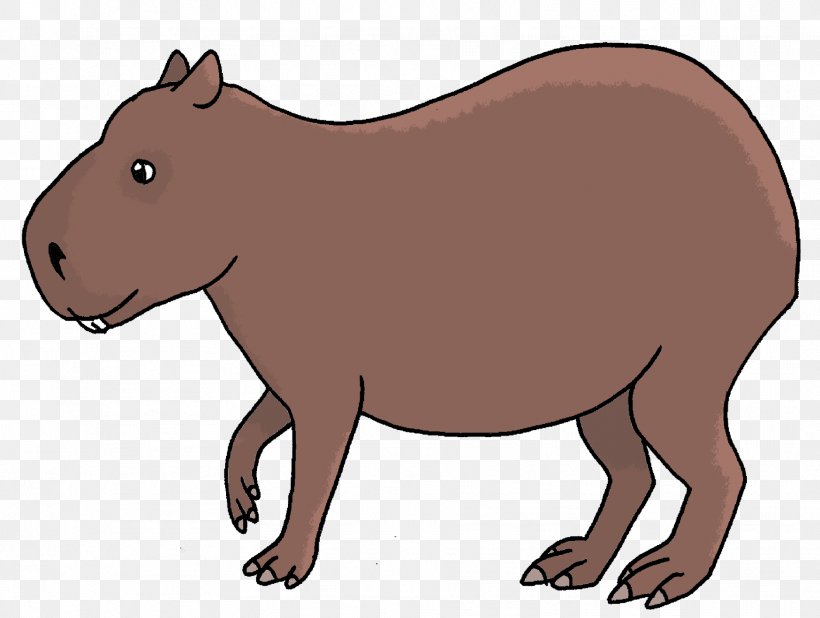 Capybara Bear Wombat Scientist Drawing, PNG, 1876x1414px, Capybara, Animal, Animal Figure, Bear, Beaver Download Free