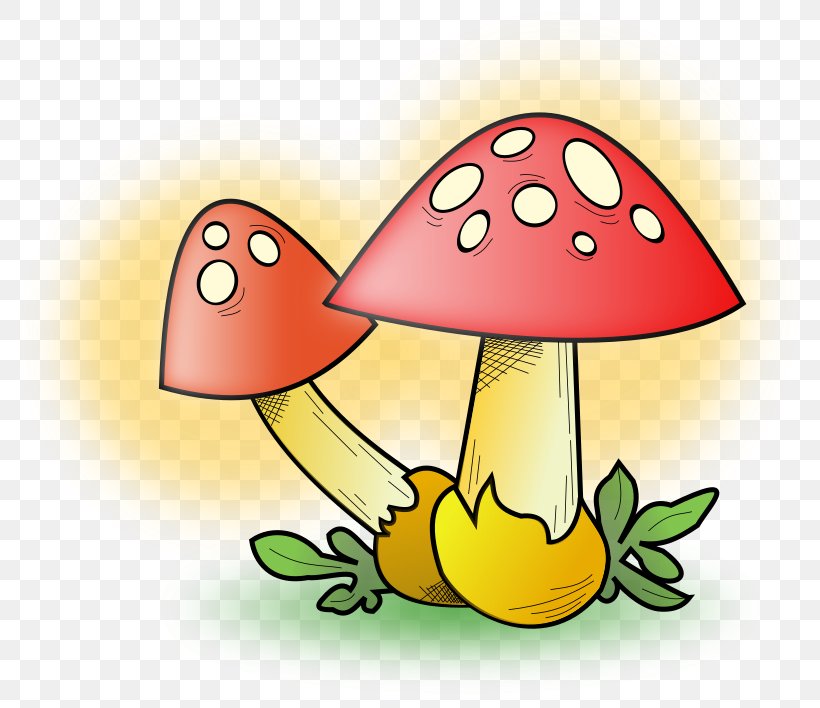 Mushroom Morchella Clip Art, PNG, 800x708px, Mushroom, Art, Artwork, Cartoon, Drawing Download Free