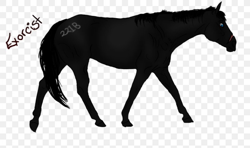 Mustang Stallion Mare Rein Horse Harnesses, PNG, 1024x610px, Mustang, Black And White, Bridle, Colt, Halter Download Free
