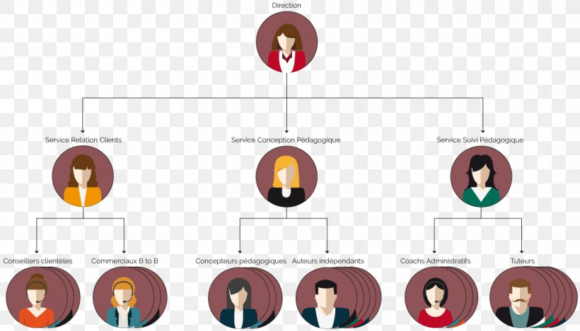 Organizational Chart Graphic Designer Industrial Design, PNG, 1140x653px, Watercolor, Cartoon, Flower, Frame, Heart Download Free