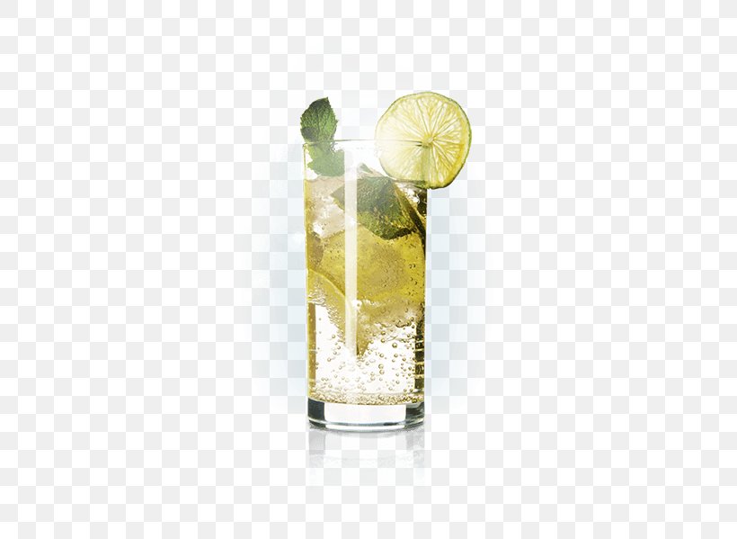 Rickey Kulfi Gin And Tonic Fizzy Drinks Sea Breeze, PNG, 431x599px, Rickey, Cocktail, Cocktail Garnish, Drink, Fizzy Drinks Download Free
