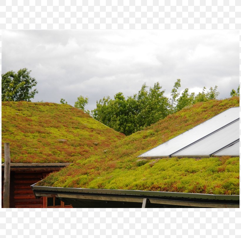 Roof Garden Zöldtetők Green Roof Ecogrid, PNG, 810x810px, Roof, Daylighting, Diadem, Energy, Grass Download Free
