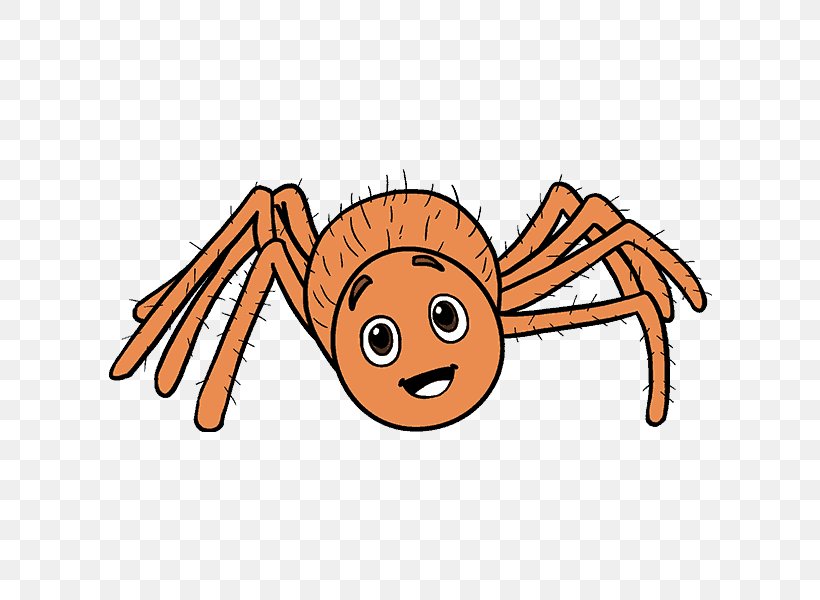 Spider Cartoon Drawing Clip Art, PNG, 678x600px, Spider, Arachnophobia, Area, Art, Artwork Download Free