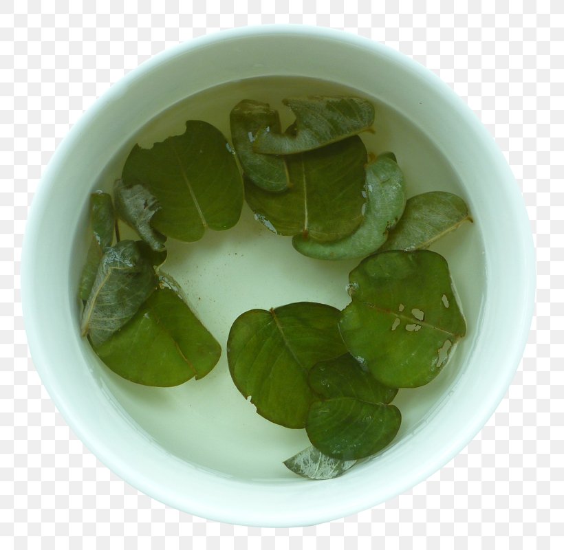 Tea, PNG, 800x800px, Tea, Corydalis Yanhusuo, Google Images, Leaf Vegetable, Medicinal Plants Download Free