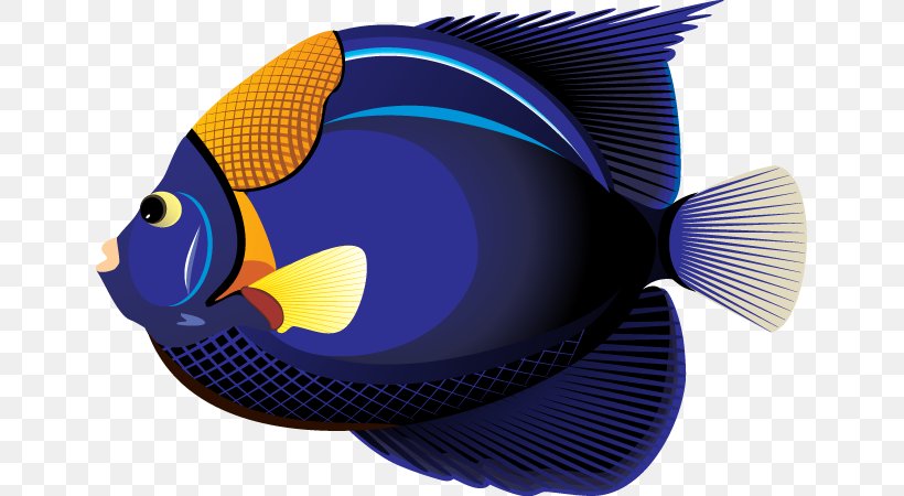 Tropical Fish Goldfish Clip Art, PNG, 645x450px, Fish, Angelfish, Aquarium, Blog, Electric Blue Download Free