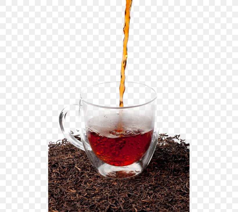 Black Tea Tea Culture, PNG, 487x730px, Tea, Assam Tea, Black Tea, Camellia Sinensis, Coffee Cup Download Free