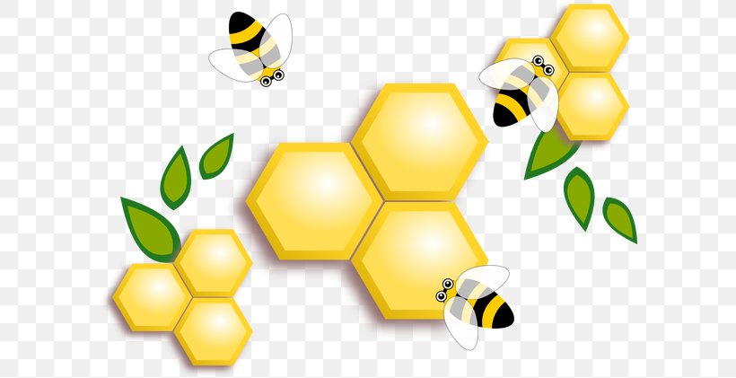 Honey Bee Honeycomb, PNG, 600x421px, Bee, Bee Pollen, Food, Honey, Honey Bee Download Free