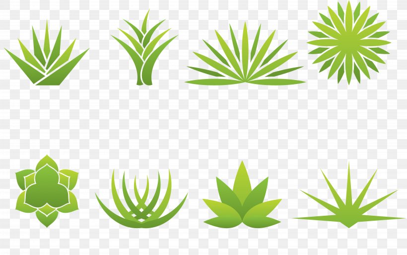 Aloe Vera Agave Logo, PNG, 5700x3572px, Aloe Vera, Agave, Aloe, Flower, Flowering Plant Download Free