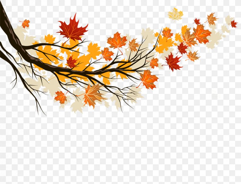 Autumn Leaf Color Maple Leaf, PNG, 850x650px, Autumn Leaf Color, Autumn, Branch, Color, Floral Design Download Free