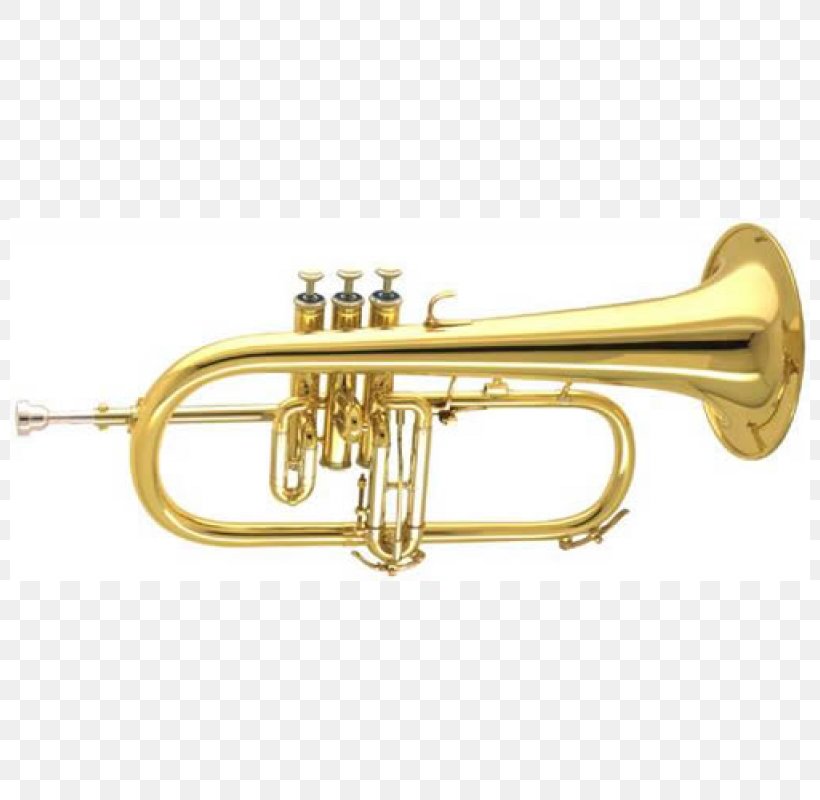 Cornet Flugelhorn Bugle Trumpet Mellophone, PNG, 800x800px, Watercolor, Cartoon, Flower, Frame, Heart Download Free