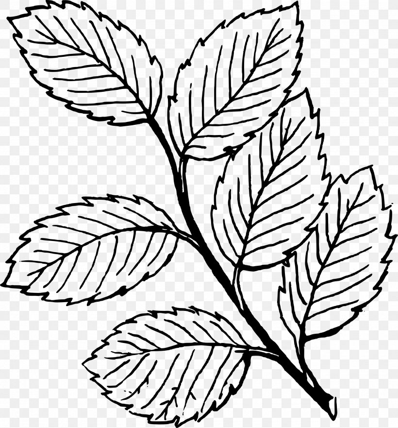 Look At Leaves Autumn Leaf Color Black And White Clip Art, PNG, 2555x2748px, Look At Leaves, Autumn, Autumn Leaf Color, Black, Black And White Download Free