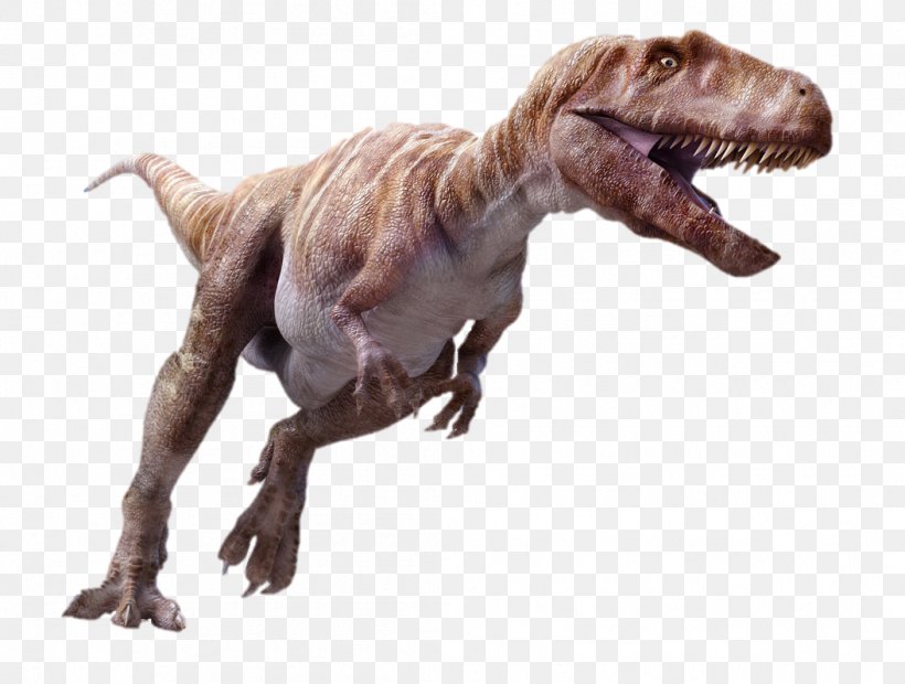 Megalosaurus Spinosaurus Ceratosaurus Tyrannosaurus Iguanodon, PNG, 1054x798px, Megalosaurus, Ankylosaurus, Carcharodontosaurus, Carnotaurus, Ceratosaurus Download Free
