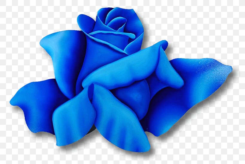 Blue Rose Garden Roses Painting Rosa 'Magnifica', PNG, 800x552px, Blue Rose, Blue, Cobalt Blue, Contemporary Art, Electric Blue Download Free