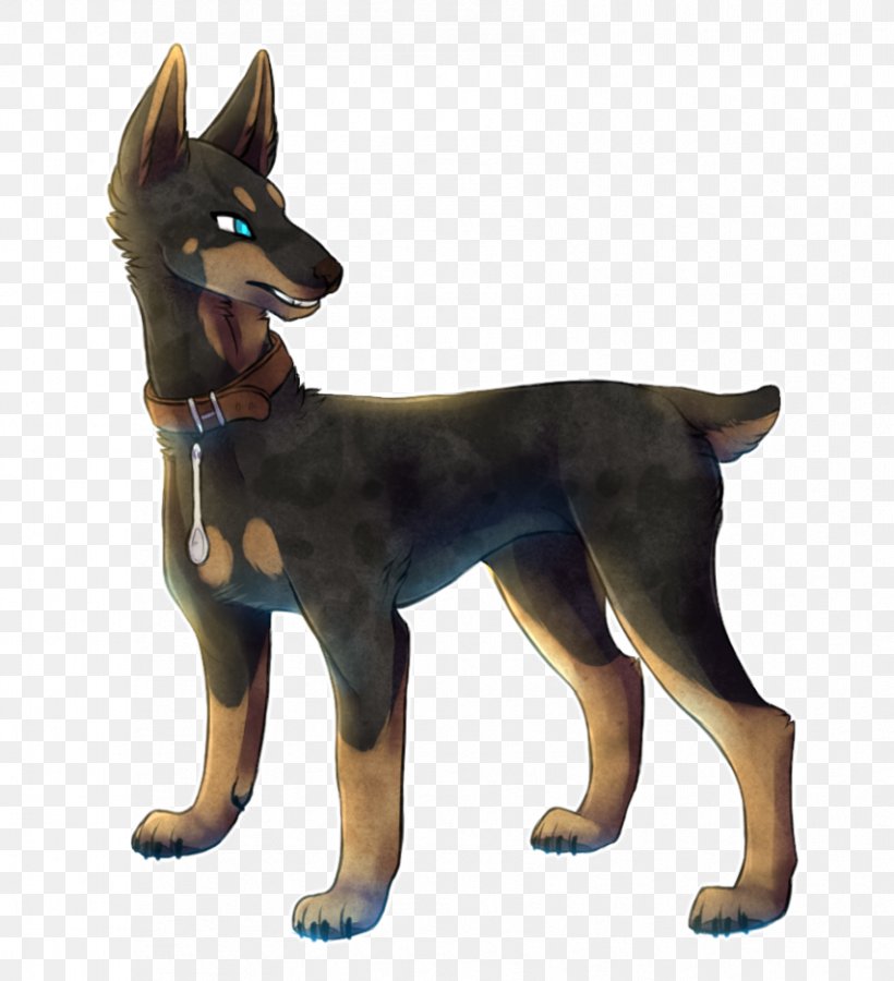 Ormskirk Terrier Australian Kelpie Kunming Wolfdog English Toy Terrier German Shepherd, PNG, 853x937px, Australian Kelpie, Ancient Dog Breeds, Australian Cattle Dog, Breed, Breed Group Dog Download Free