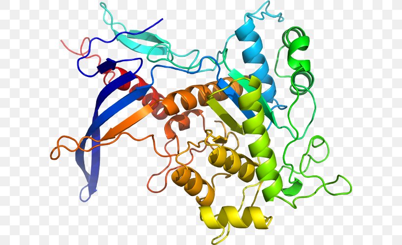 Protein Disulfide-isomerase Bond Deusylffid Line Clip Art, PNG, 616x500px, Isomerase, Area, Artwork, Bond Deusylffid, Organism Download Free