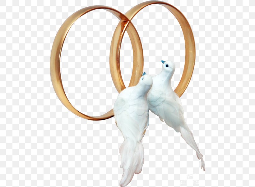 Pigeons And Doves Clip Art Wedding Ring, PNG, 500x603px, Pigeons And Doves, Body Jewelry, Bride, Engagement Ring, Marriage Download Free