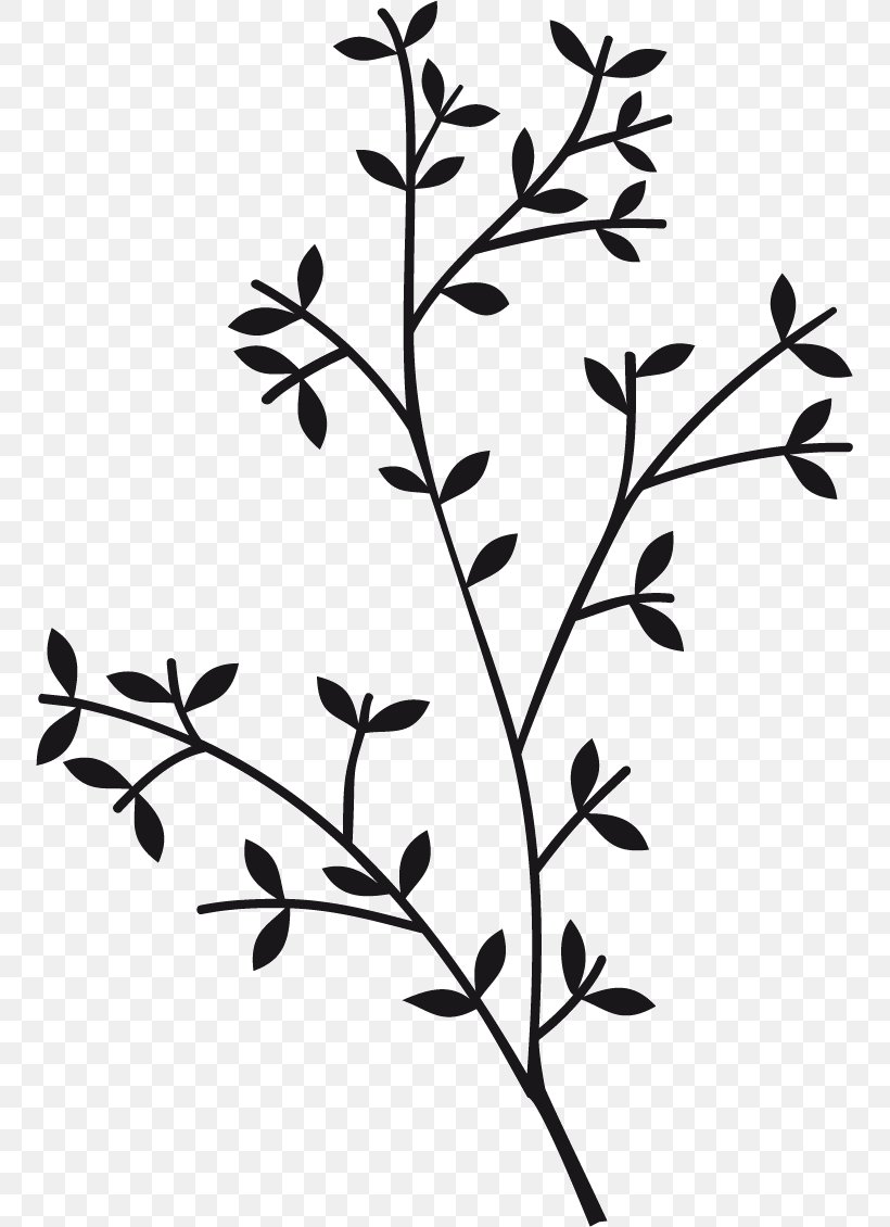 Twig Plant Stem Leaf Flower Clip Art, PNG, 753x1130px, Twig, Black And White, Branch, Flora, Flower Download Free