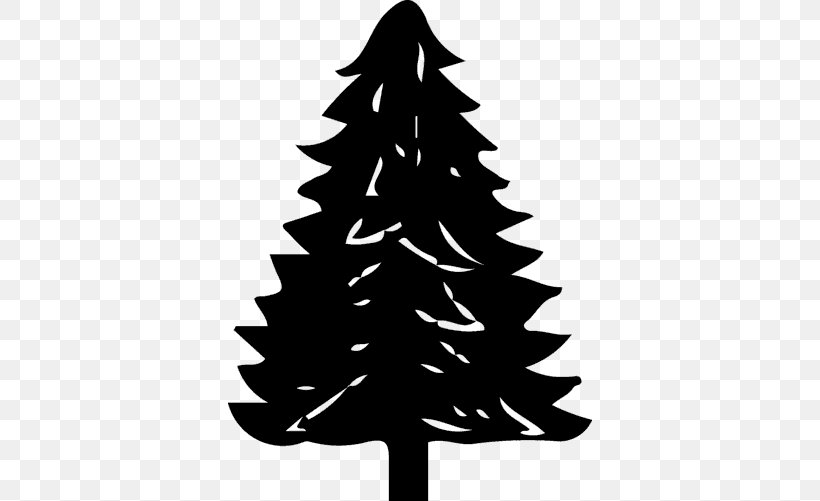 Christmas Tree Spruce Abies Koreana Pine Abies Concolor, PNG, 678x501px, Christmas Tree, Abies Concolor, Abies Koreana, Abies Lasiocarpa, Abies Sibirica Download Free
