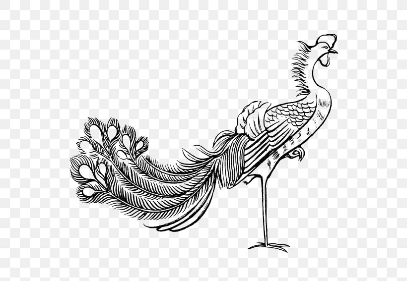 Fenghuang Stroke Bird Budaya Tionghoa Chinese Mythology, PNG, 567x567px, Fenghuang, Art, Beak, Bird, Black And White Download Free
